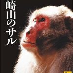 Linear dominance hierarchy among Japanese macaques