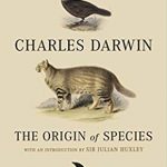 Darwin paved the way for animal sociology